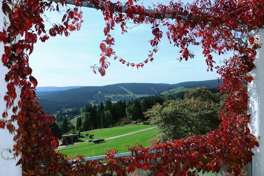 Haus Feldberg-Falkau Feldberg  Bagian luar foto